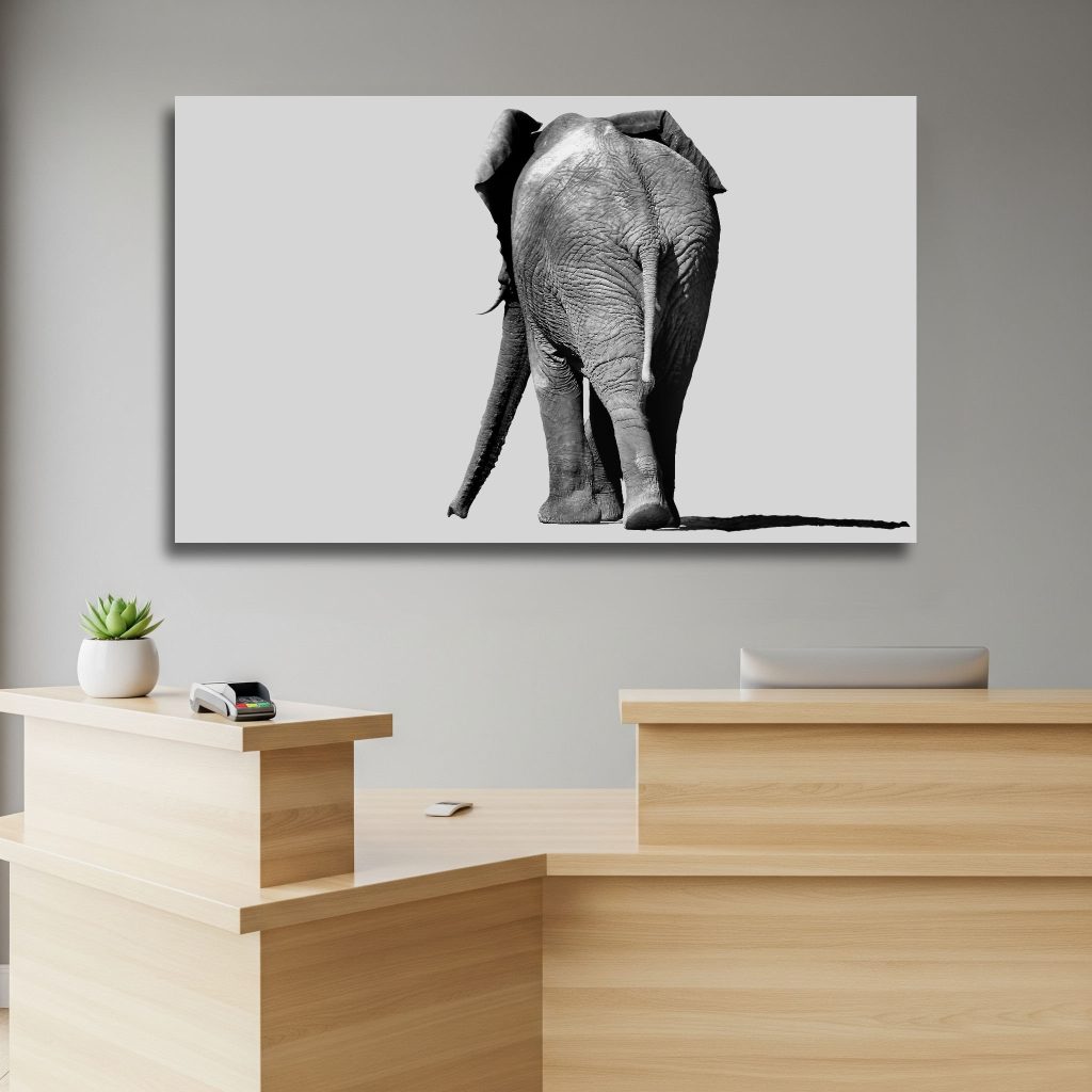 Elephant Stroll