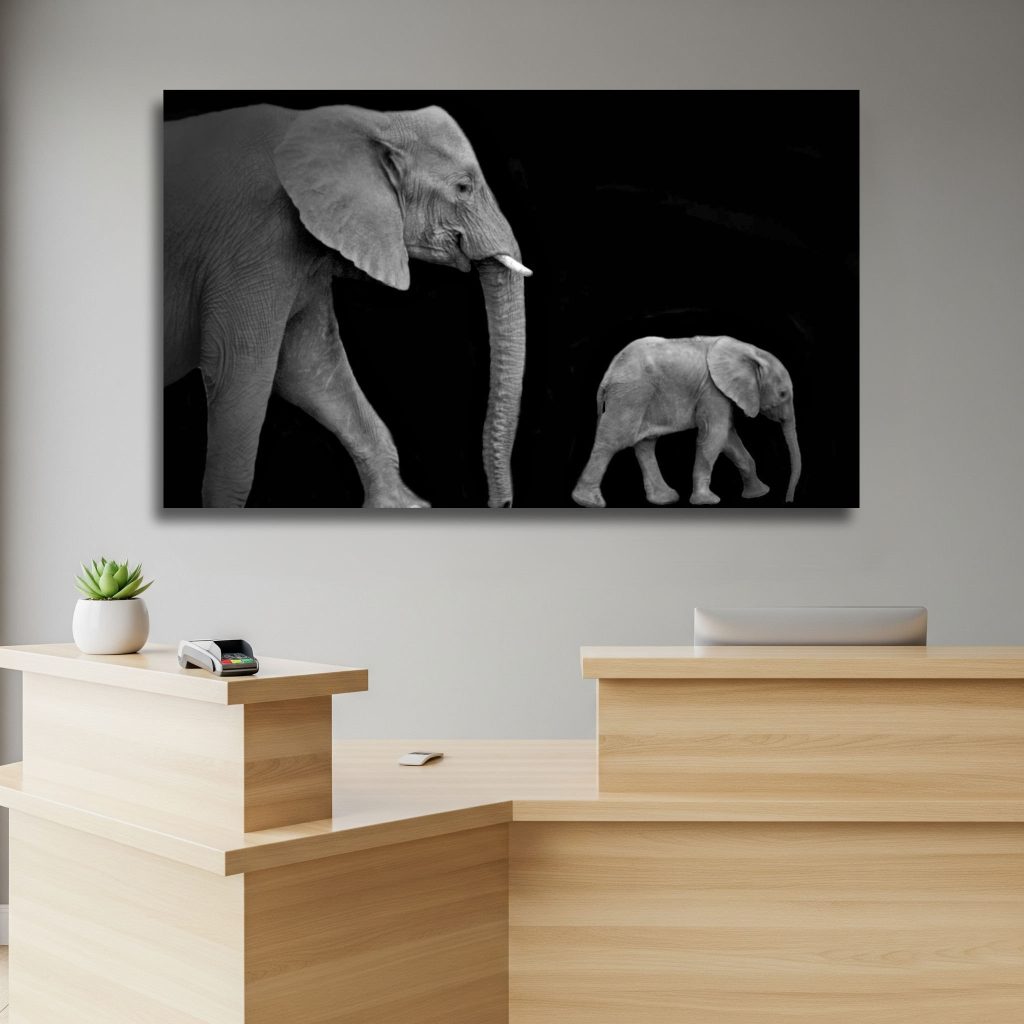 Mother and Baby Elephants